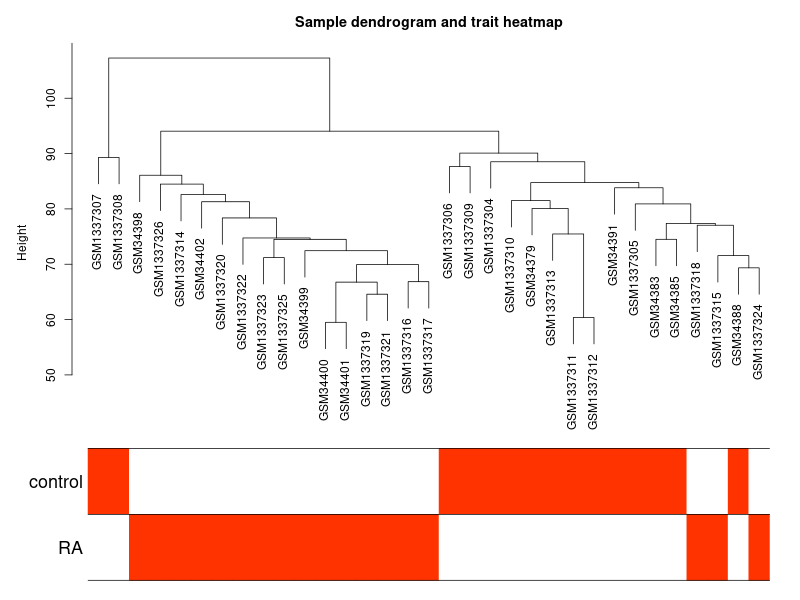 sample-subtype-cluster