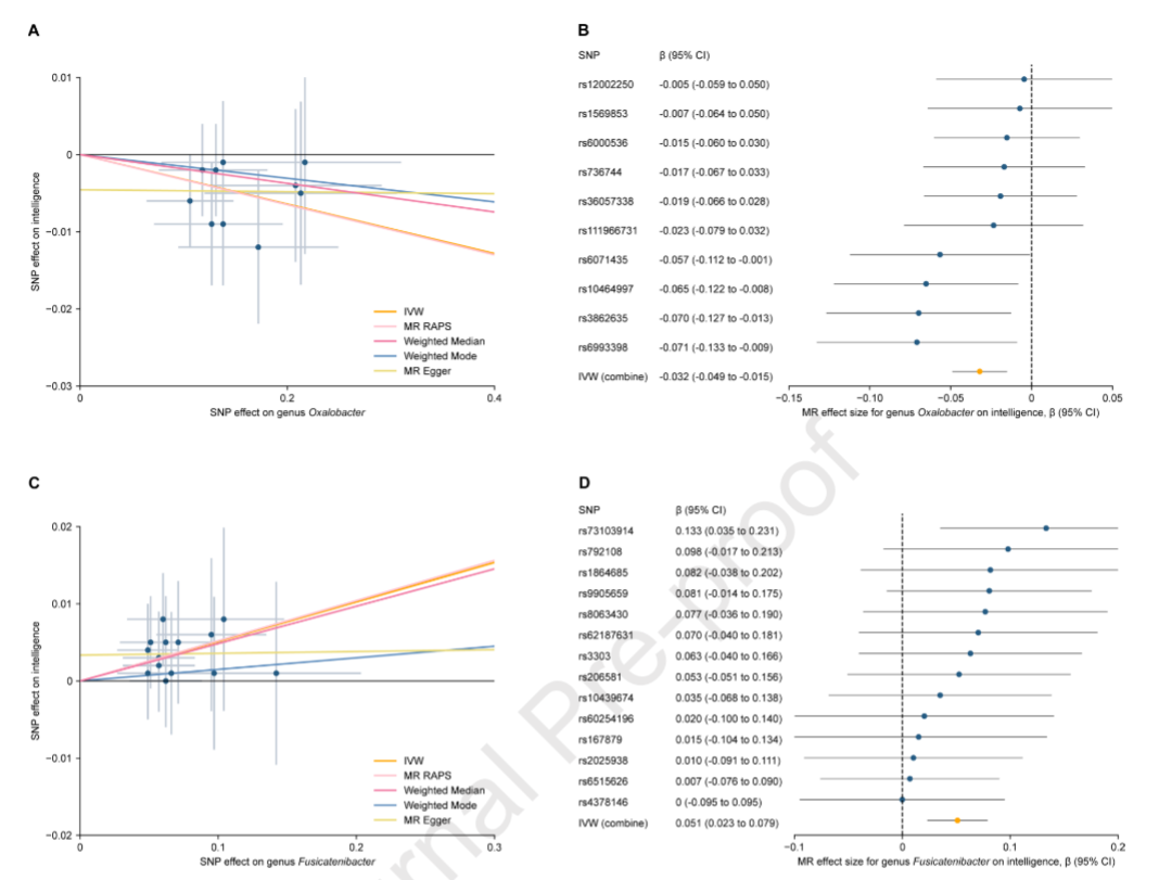 这个新花样真是全球首次研究！西交杨铁林教授团队，孟德尔随机化探究肠道菌群与智力的关系