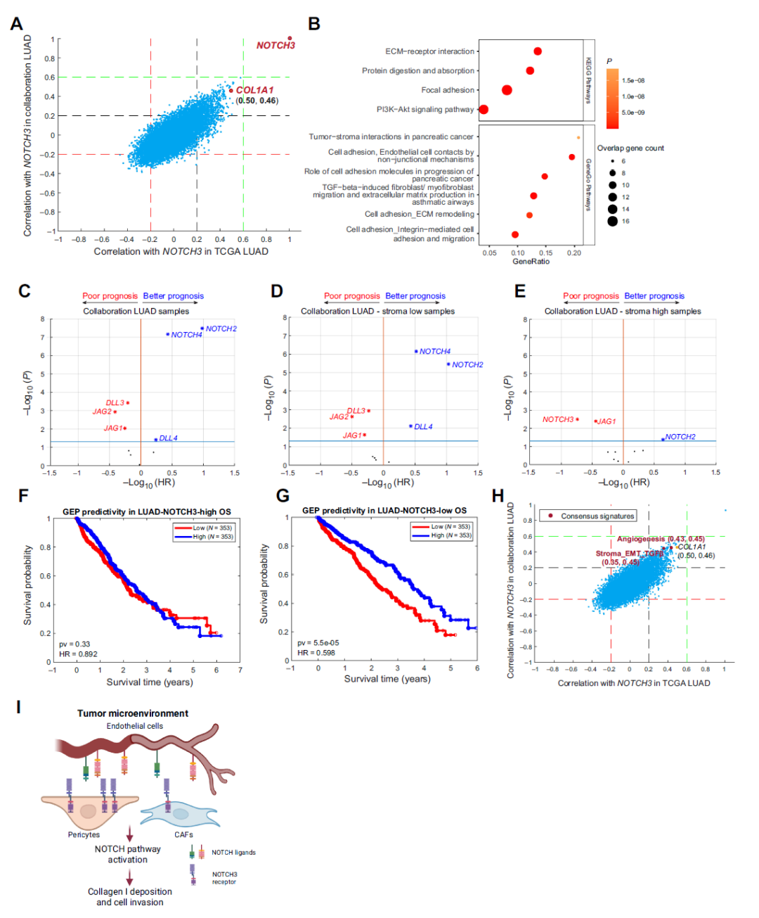 Cancer Research重磅来袭！单细胞测序+成像质谱测定：细胞间的隐秘互动大揭秘！