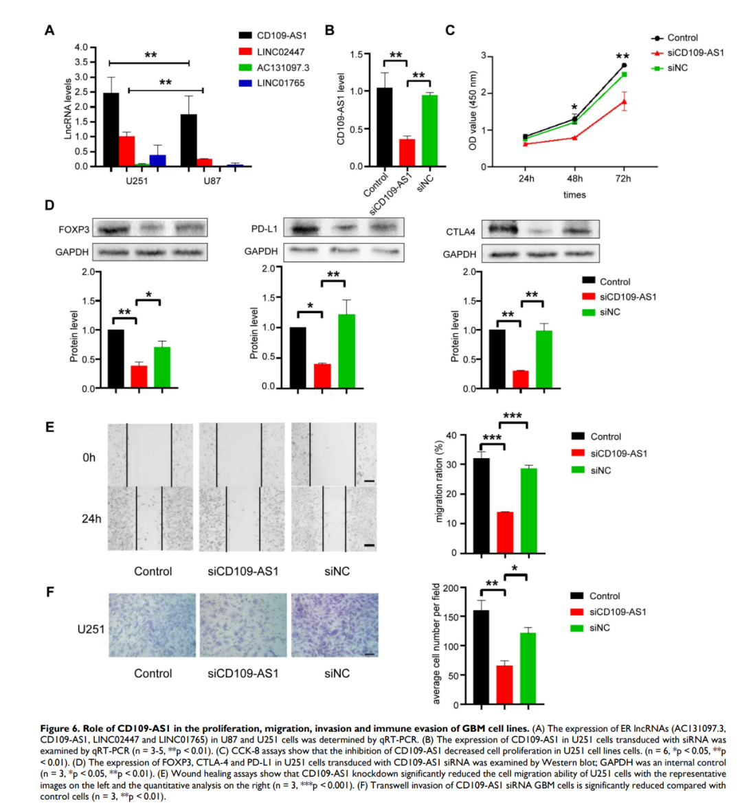 lncRNA成“烫手山芋”？救星在这里！海南医学院李孔宁教授团队1区12+，多组学+表观遗传成香馍馍