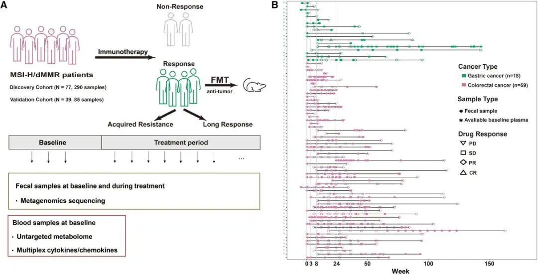 秀出实力！北京大学肿瘤医院沈琳、彭智团队：肠道菌群中的多组学分析一举斩获14+Cell子刊