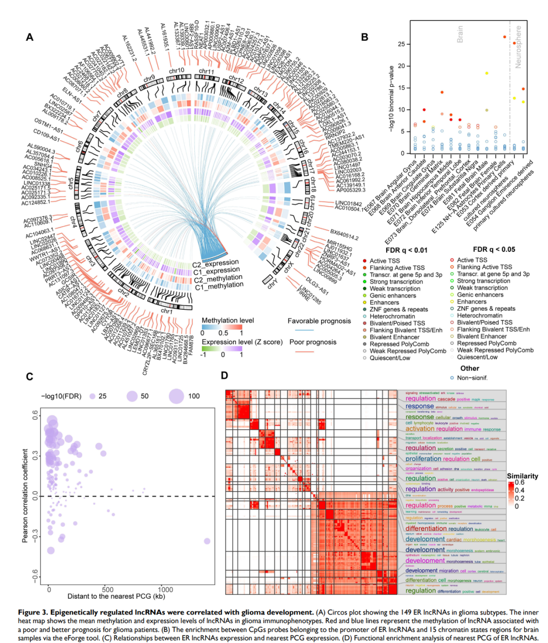 lncRNA成“烫手山芋”？救星在这里！海南医学院李孔宁教授团队1区12+，多组学+表观遗传成香馍馍