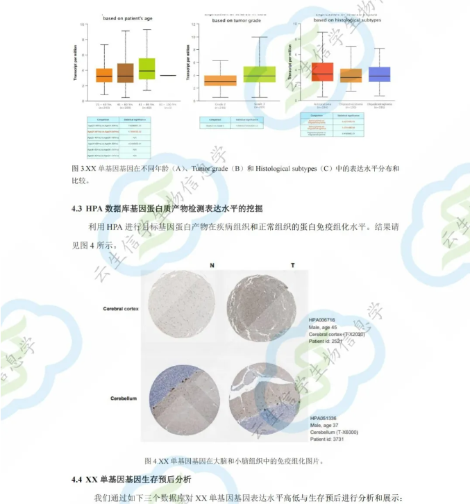 揭秘：如何用生信文献热点复现服务实现不延毕早晋升？