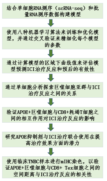 Advanced Science！机器学习不愧是最强辅助，巨噬细胞+单细胞测序拿捏得死死的！思路告急就看浙大赵鹏团队这篇文章！