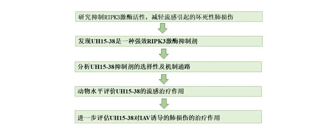 Nature|重磅揭秘！坏死型凋亡与炎症关系密切，其抑制剂应用前景广阔！