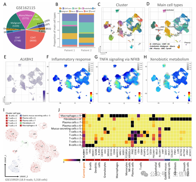 超强阵容！巨噬细胞联合“单细胞和空间组学测序技术”太卷了！0实验高段位思维，还不快来学！
