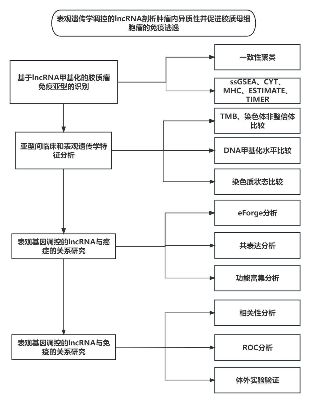 lncRNA成“烫手山芋”？救星在这里！海南医学院李孔宁教授团队1区12+，多组学+表观遗传成香馍馍